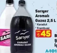 SARIYER AROMALI GAZOZ 2,5 L